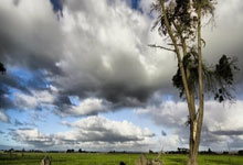 皇家社会对阵塞维利亚最终比分会是多少？深度剖析两队走势与潜在赛果