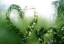 阿根廷新梅西确认离队，他将开启怎样的新征程？